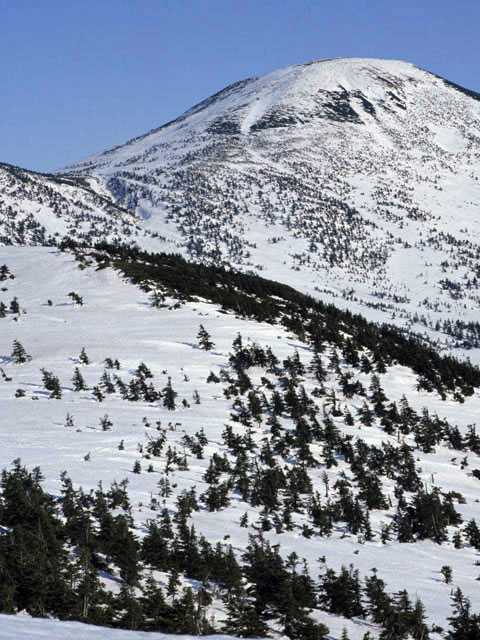 八甲田山の画像