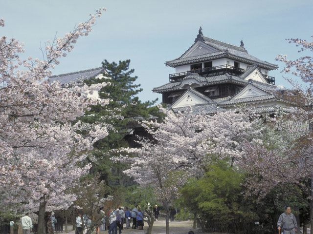 松山城の画像