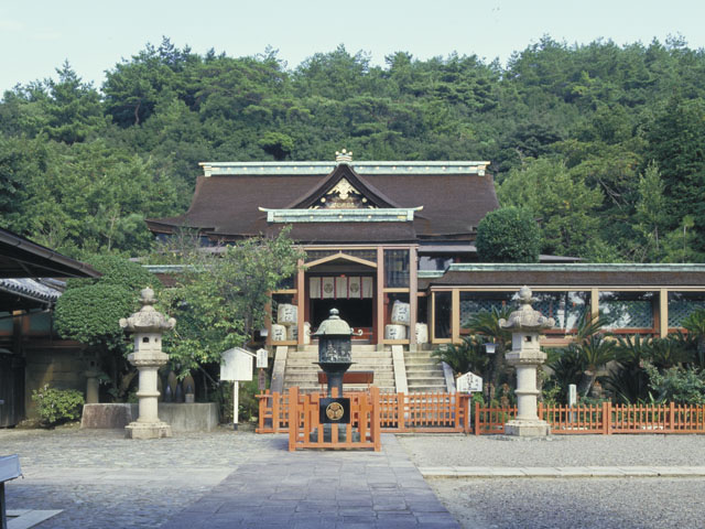 徳川頼宣の画像