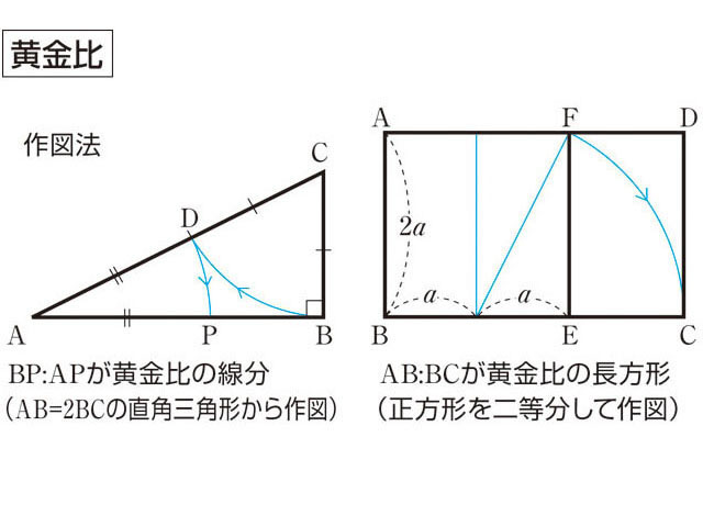 黄金比 おうごんひ とは何 Weblio辞書