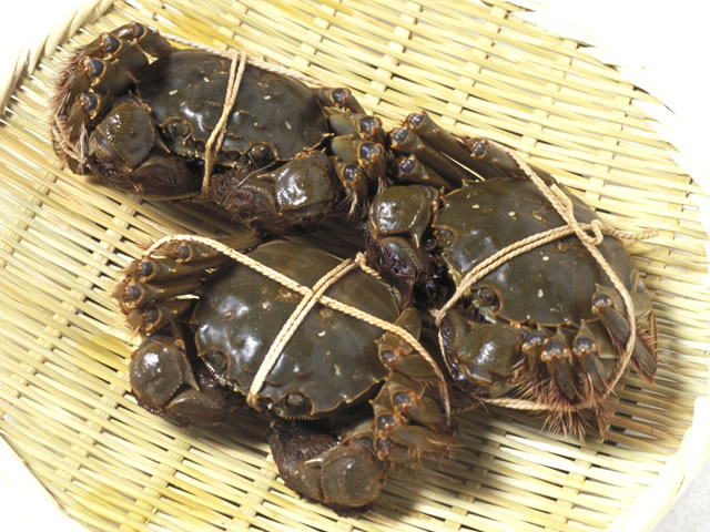 上海蟹の画像