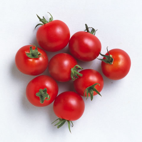 ミニ‐トマトの画像