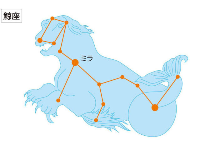 くじら座とは何？ わかりやすく解説 Weblio辞書