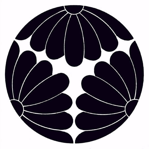 菊の画像