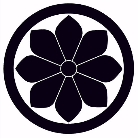 菊の画像