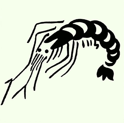海老／蝦の画像