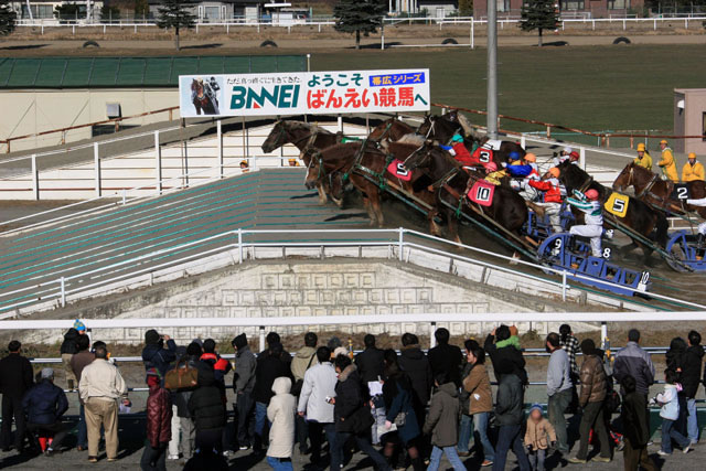 輓曳競馬の画像