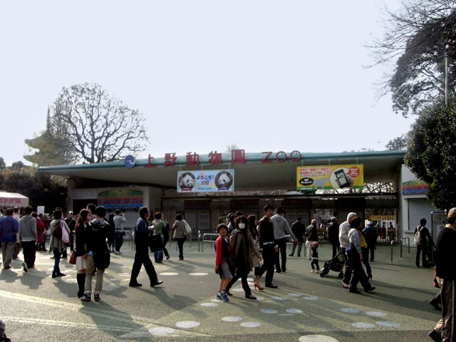上野動物園の画像