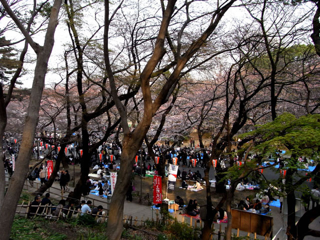 上野公園の画像