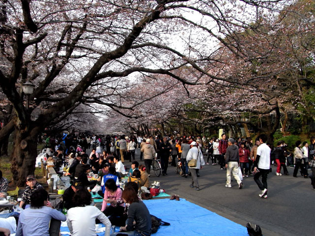 上野公園の画像