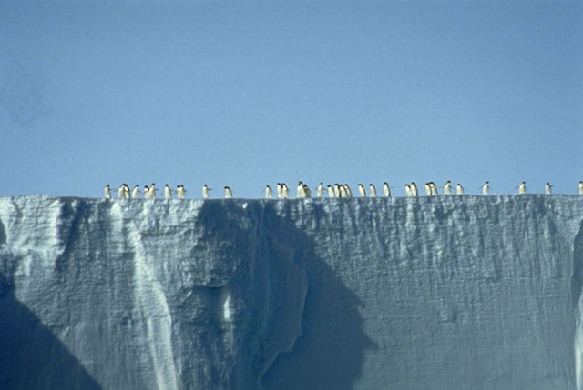 棚氷の画像