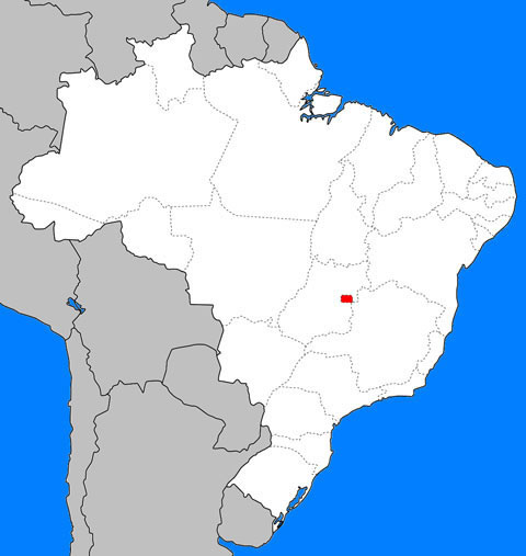 ブラジリアの画像