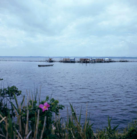 小川原湖の画像
