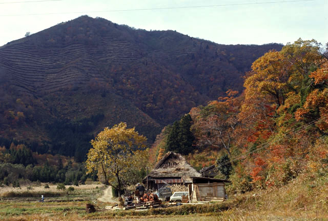 大江山の画像