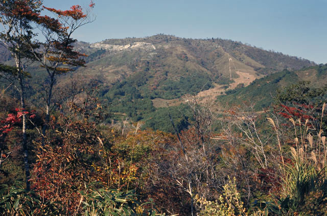恐羅漢山の画像