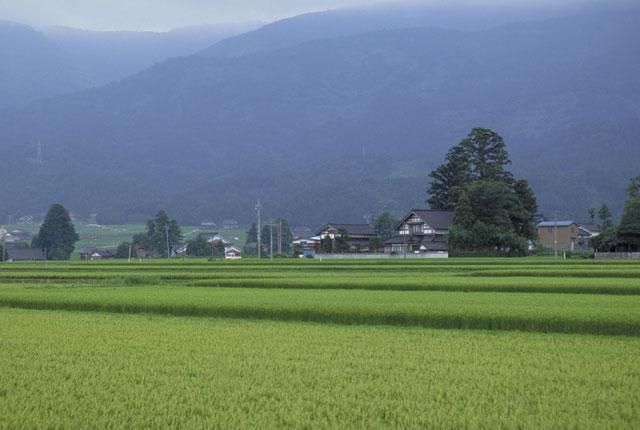 砺波平野の画像