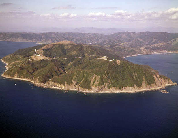 都井岬の画像