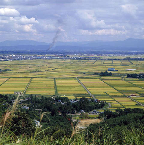 新潟平野の画像