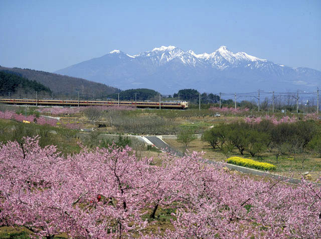 八ヶ岳の画像