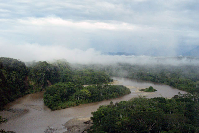 アマゾン川の画像