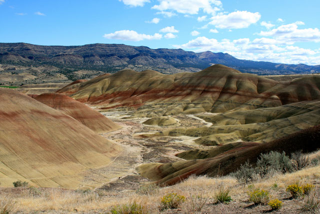 ジョンデイ化石層国定公園の画像