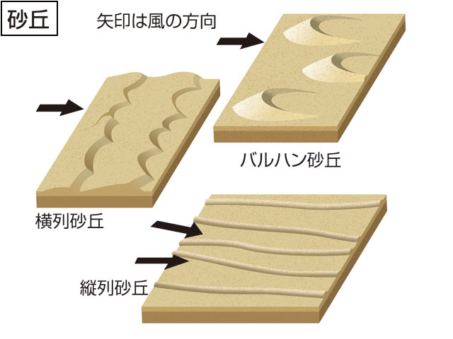 砂丘の画像