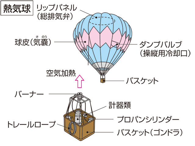 気嚢の画像