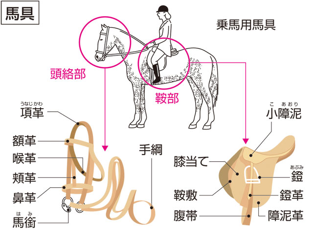 馬具の画像