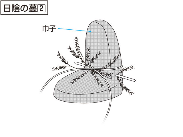 日陰の蔓／日陰の鬘の画像