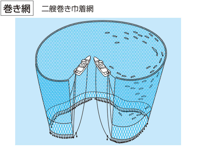 巻き網／旋網の画像