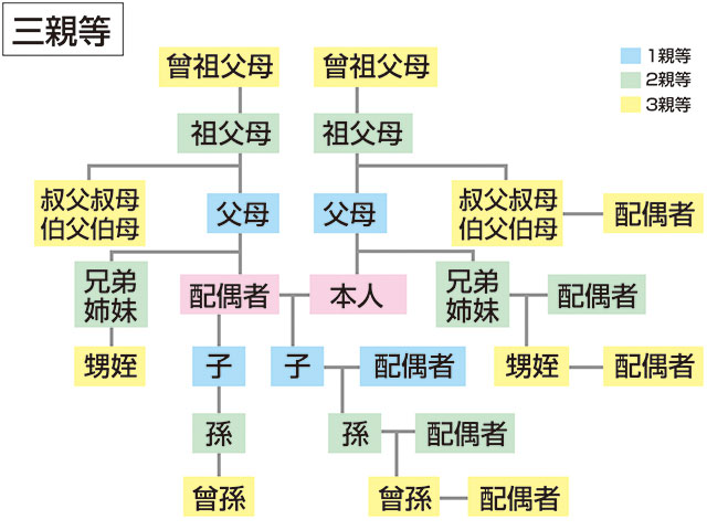 三親等の画像