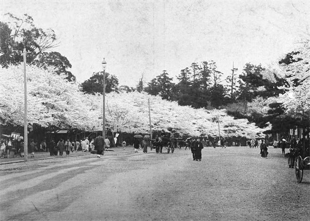 上野公園の画像