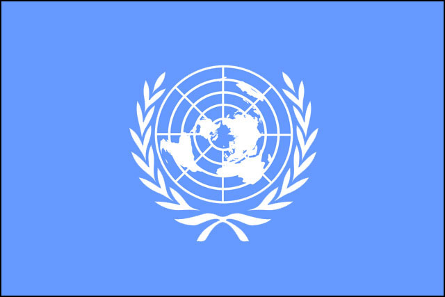 国際 連合 の 旗 で 世界 全 図 を 囲む 様 に 描か れ て いる 平和 を 象徴 する 植物 は