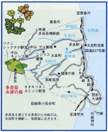 多良岳水源の森