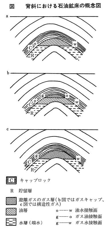 図1　背斜における石油鉱床の概念図