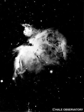 冬の星座の代表。オリオン座の中心に見えるオリオン大星雲。