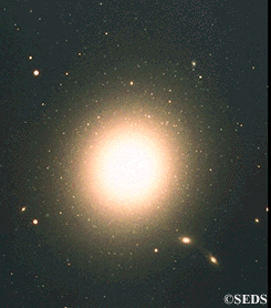 NGC4486