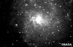 NGC598