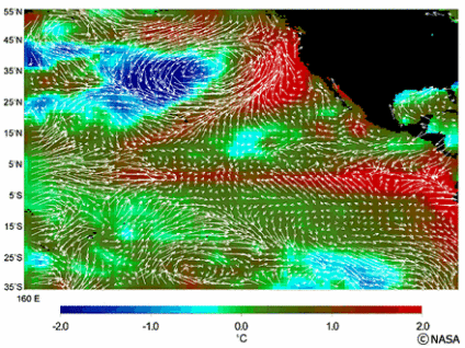 衛星から送られてきた海面温度分布データ。色は海面温度を表し、矢印は風向きを表している。