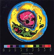 「みどり」のNASA散乱計が観測したオゾン全量分布
