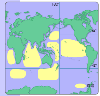 遠洋マグロ延縄漁場