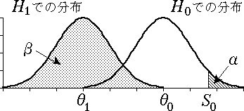 第 2 種の過誤