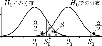 第 2 種の過誤